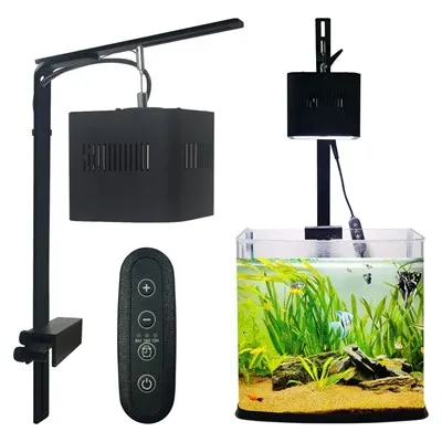 Сијалица за рибу